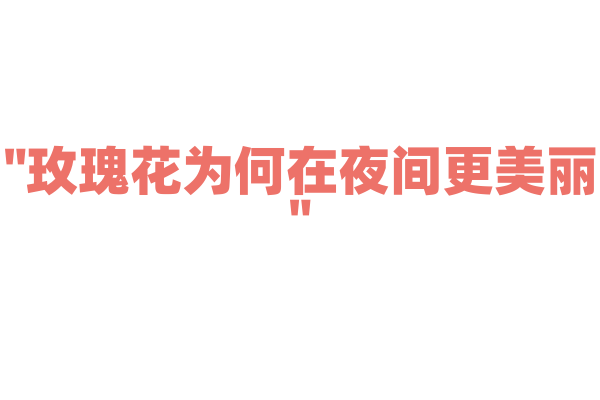 "玫瑰花为何在夜间更美丽"